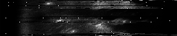 ascat_grayscale_ch2.png